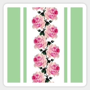 Pink vintage roses and green stripes Sticker